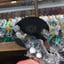 Small image 5