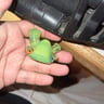Small image 0