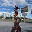 Small image 7