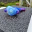 Small image 8