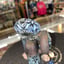 Small image 9
