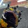 Small image 3