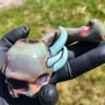 Small image 2