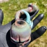 Small image 1