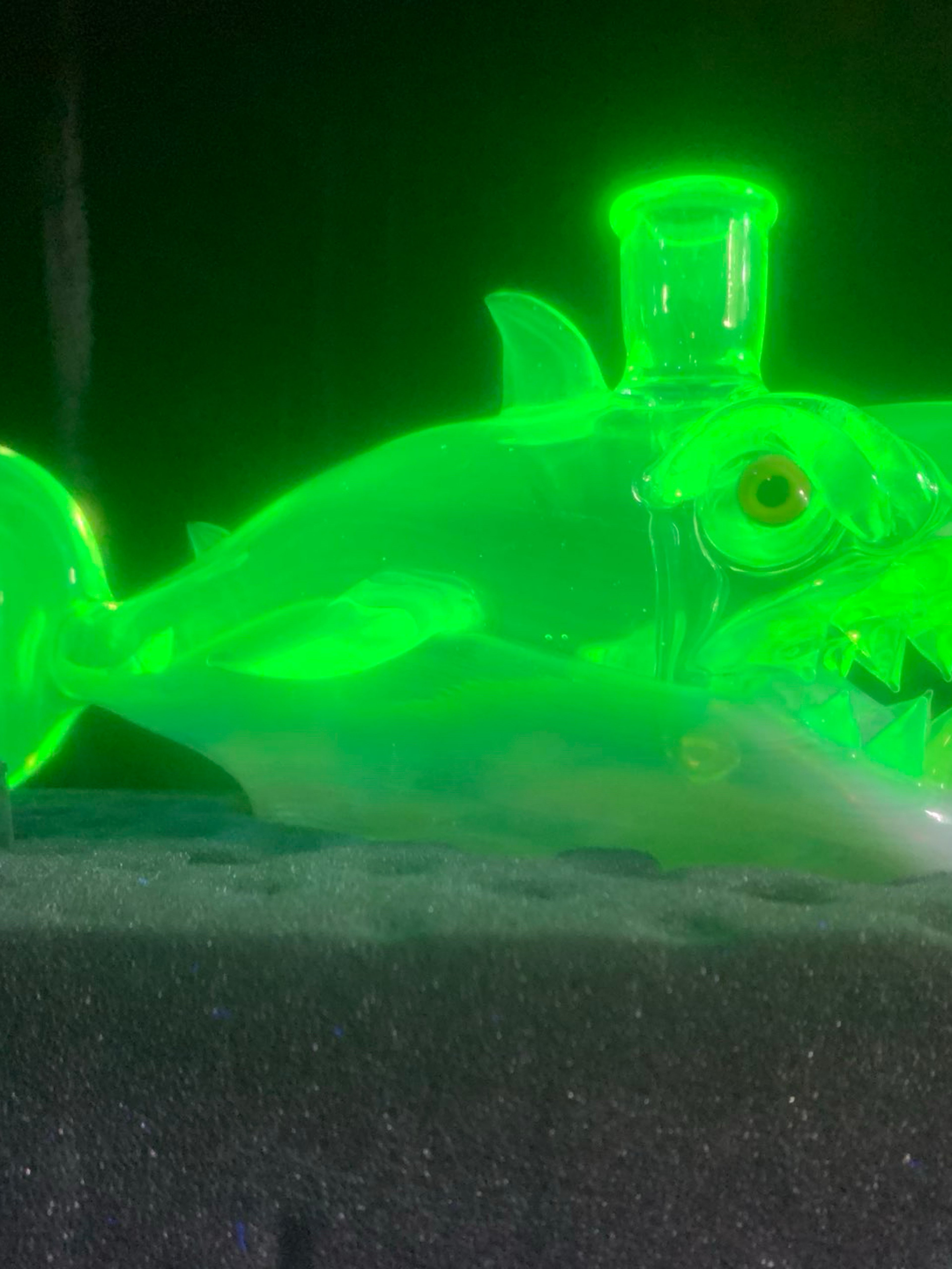 Preview pic of Uv Glass Niko Cray Shark Bong
