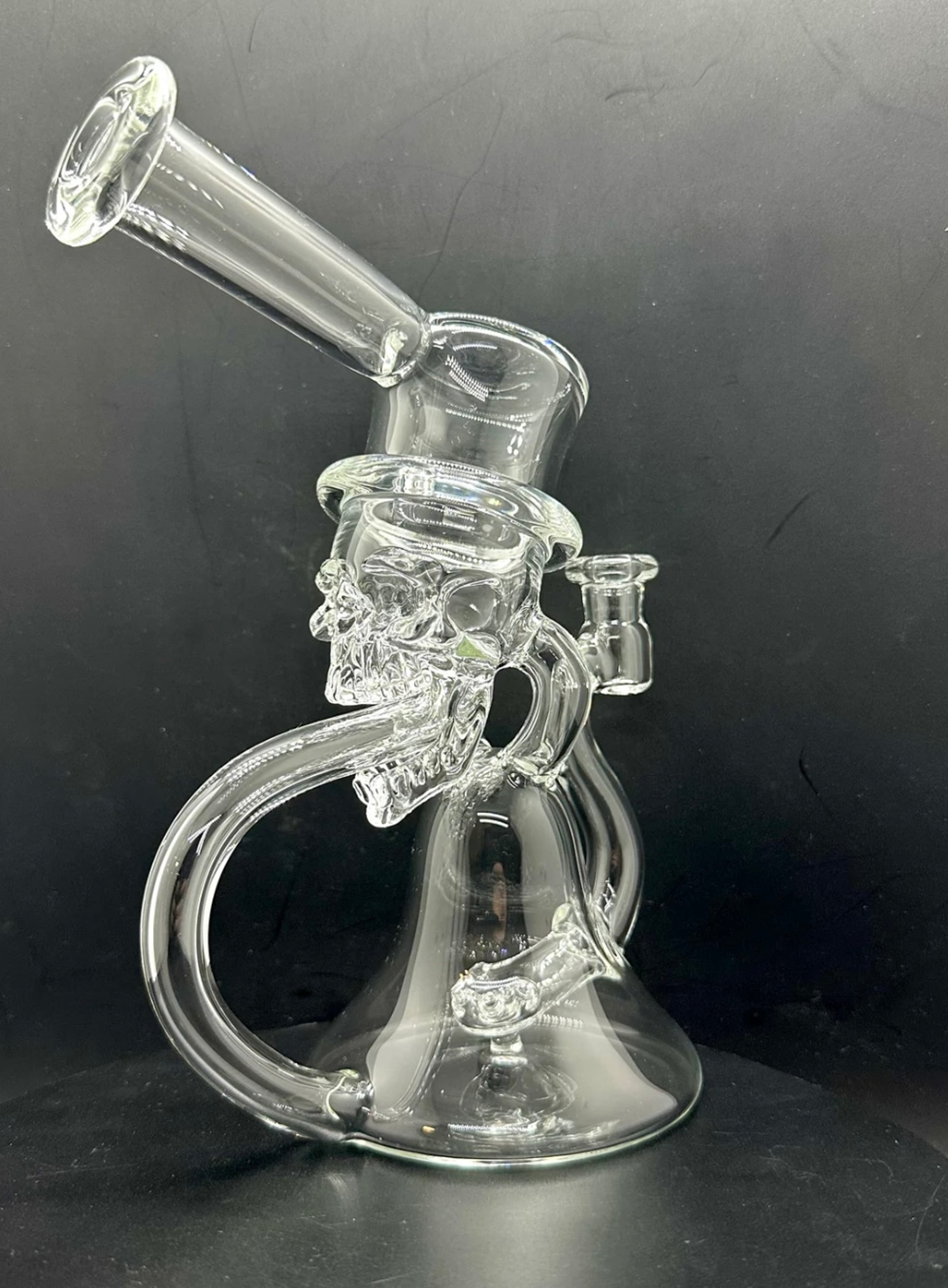 Preview pic of Weil Skull Drain Eater Recycler