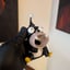 Small image 1