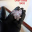 Small image 0
