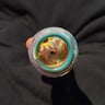 Small image 4
