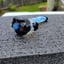 Small image 6