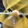 Small image 4