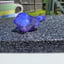 Small image 4