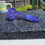 Small image 6