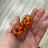 Small image 2