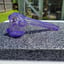 Small image 4
