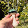 Small image 4