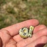 Small image 2