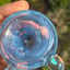 Small image 6