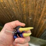 Small image 2