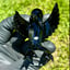 Small image 7