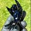 Small image 9