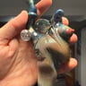 Small image 4