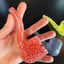 Small image 6