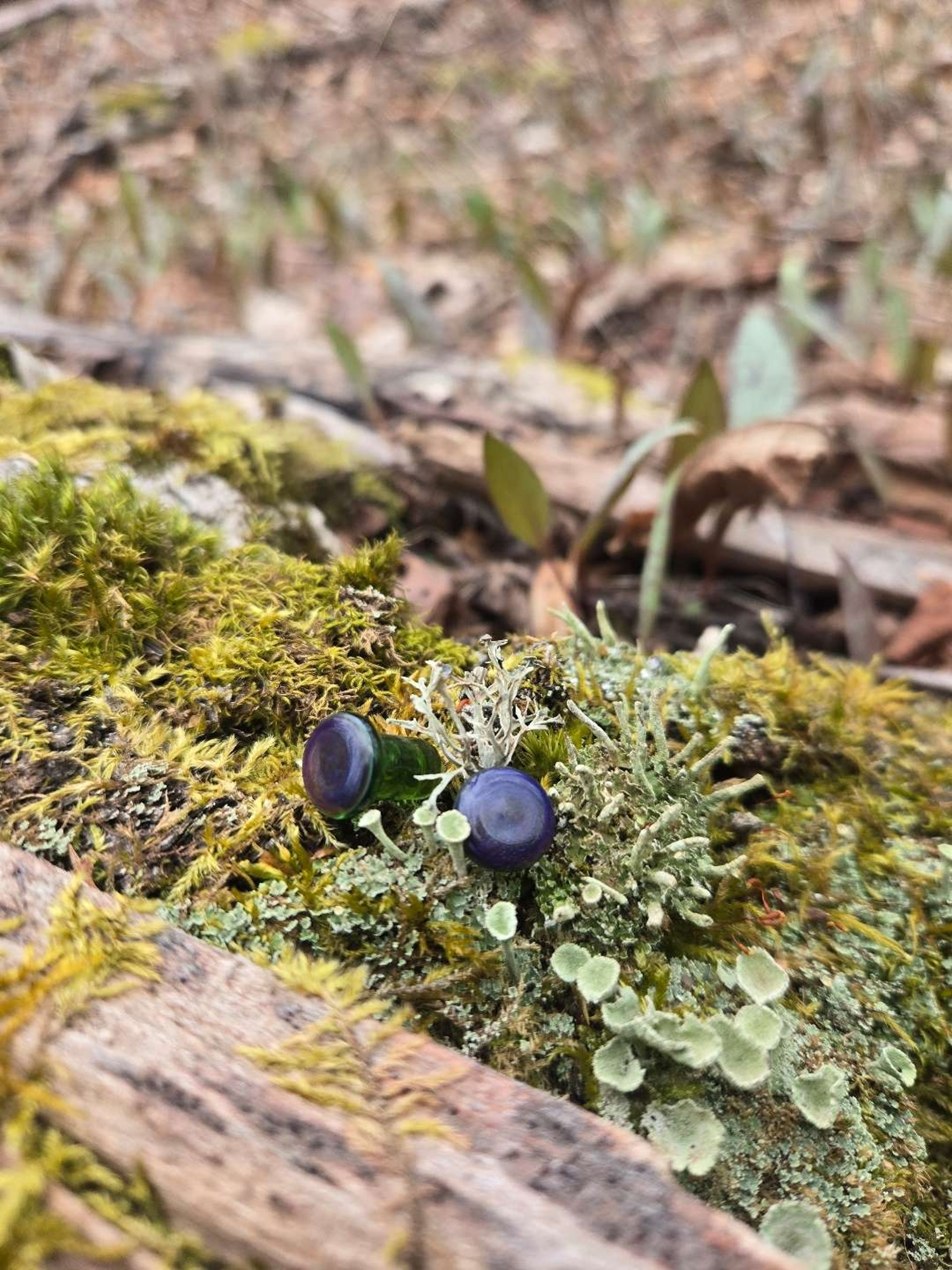 Preview pic of Green & Purple colour front plugs