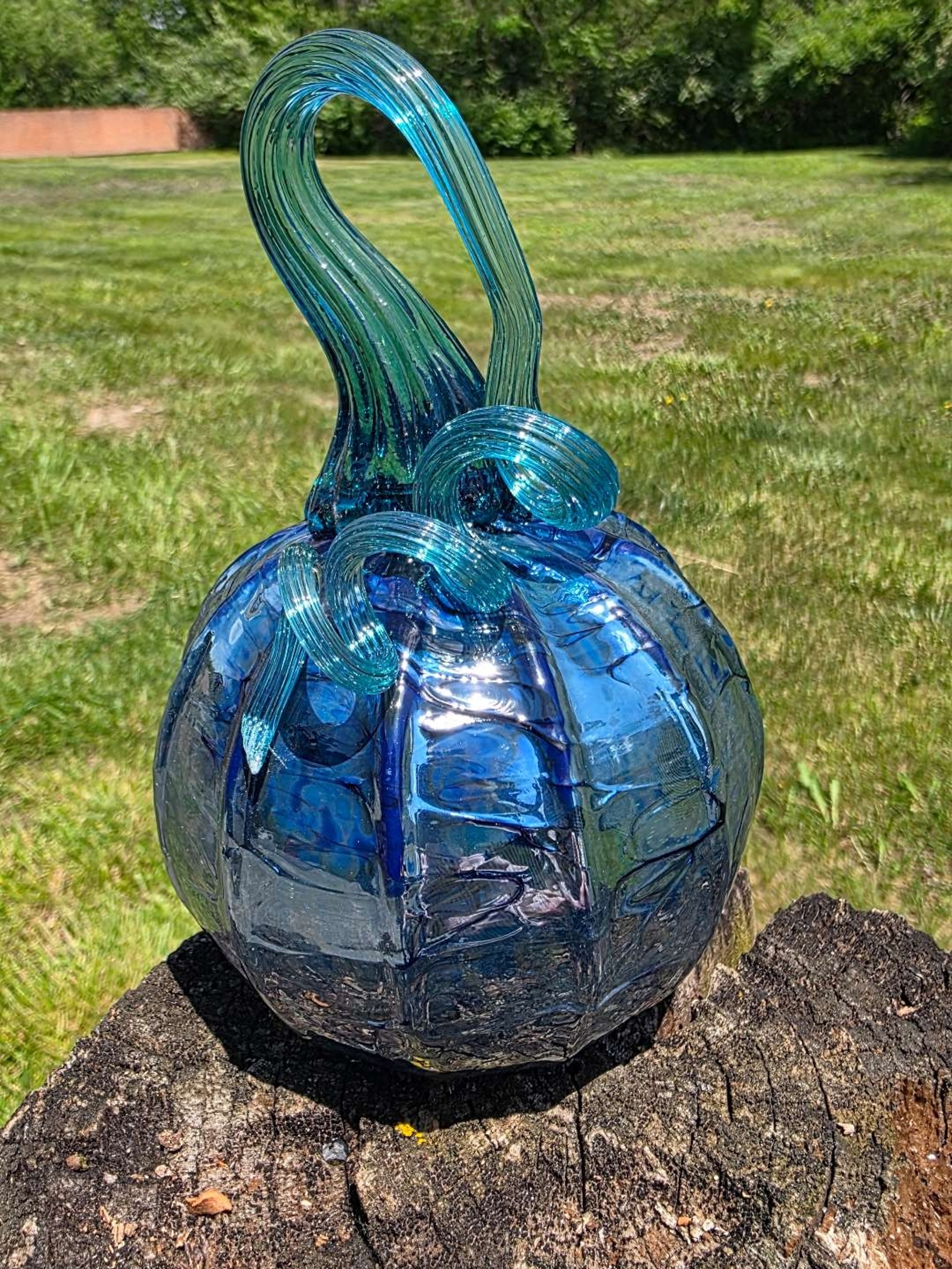 Preview pic of Silver Blue pumpkin
