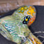 Small image 5
