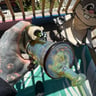 Small image 1