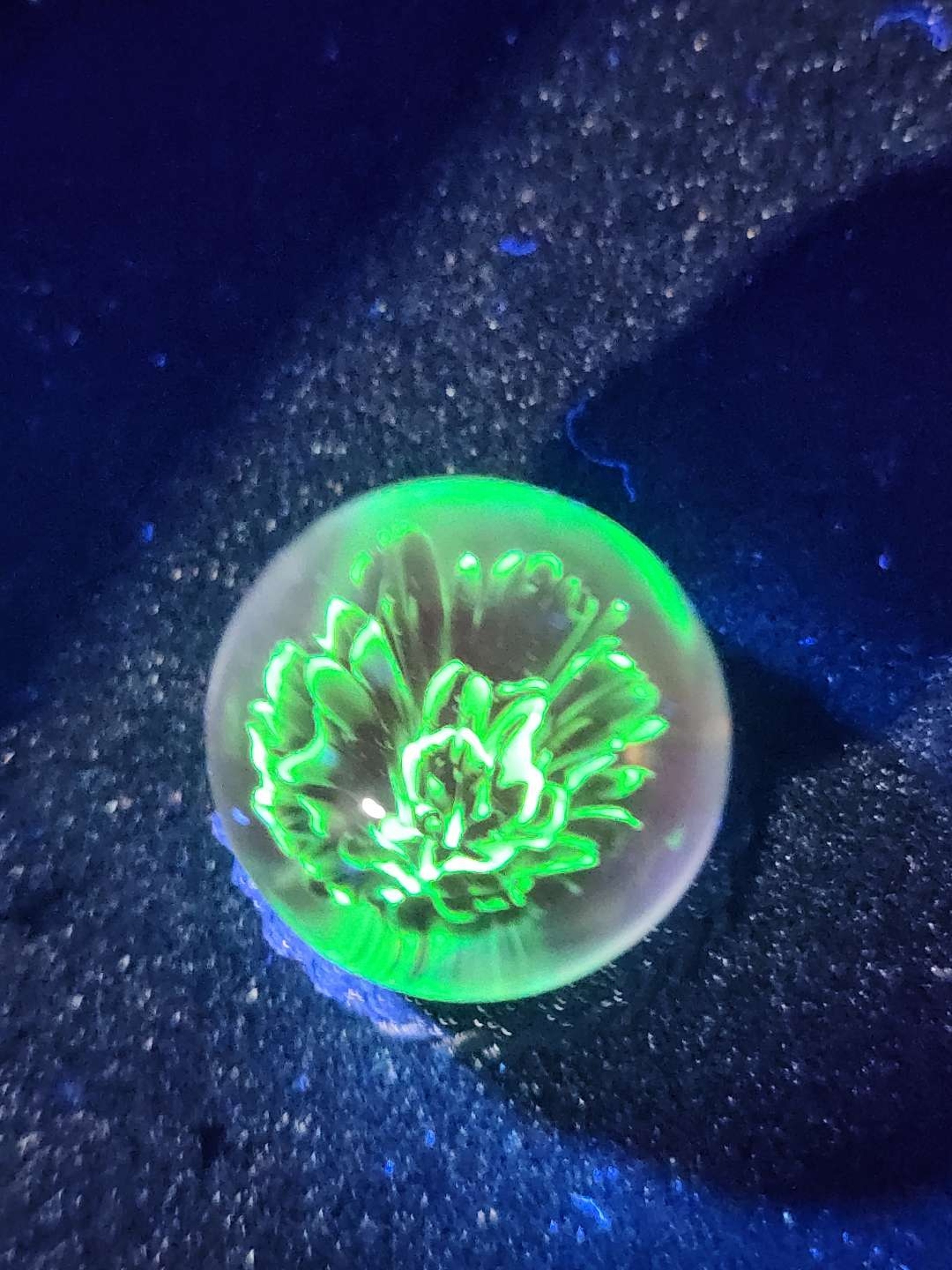 Preview pic of 1 invh Illuminati flower Implosion