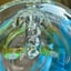 Small image 8