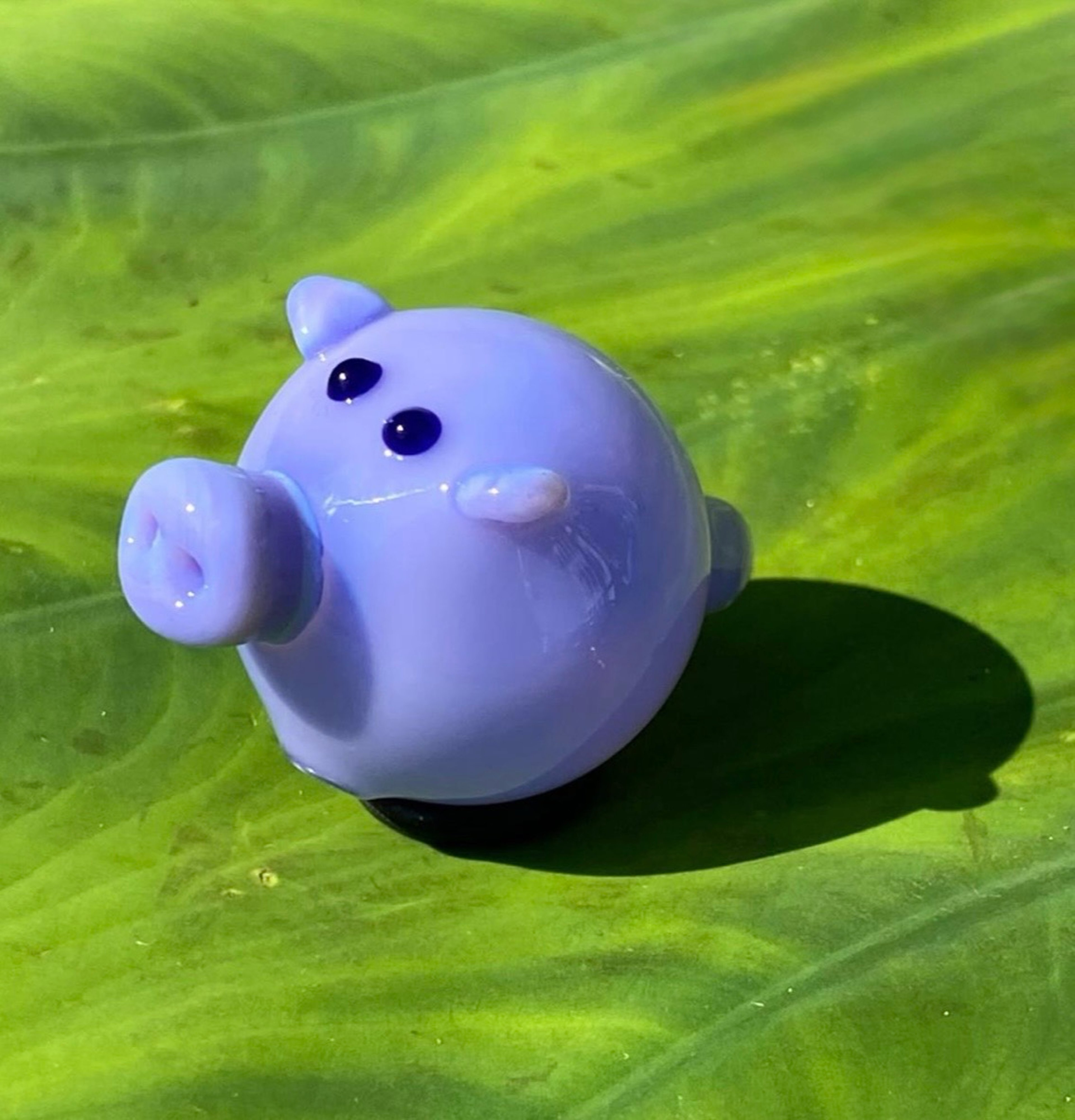 Preview pic of Sugar Matty’s Bubble Cap Pig