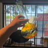Small image 1