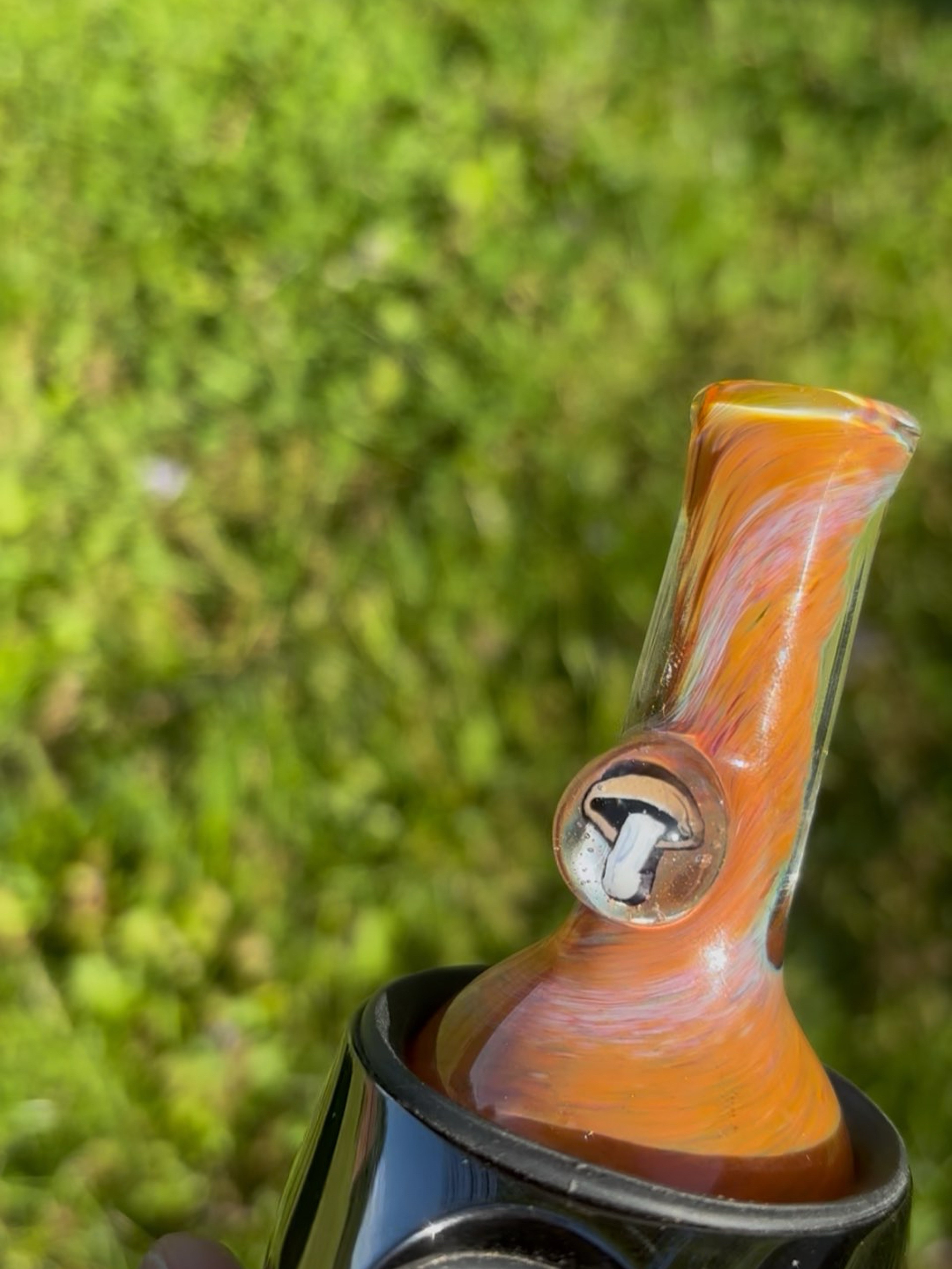 Preview pic of Mushroom dry top