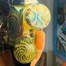 Small image 4