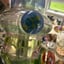 Small image 5