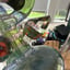 Small image 7