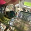 Small image 6