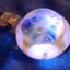Small image 5