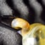 Small image 9
