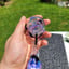 Small image 5