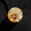 Small image 6