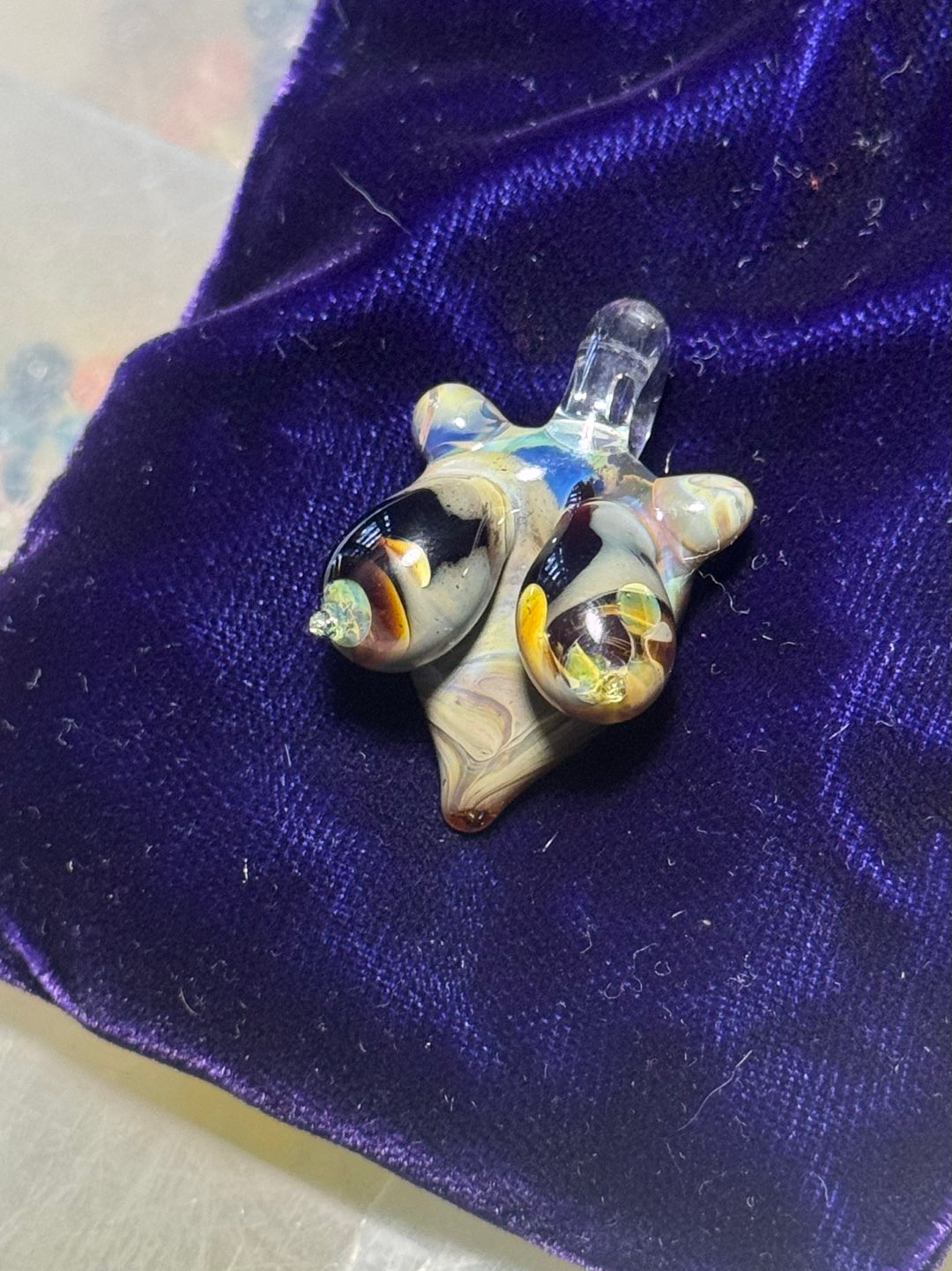 Preview pic of Double AmbPurp Halfie Babe
