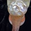 Small image 6