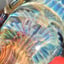 Small image 7