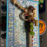 Small image 2