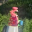 Small image 6