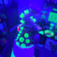 Small image 9